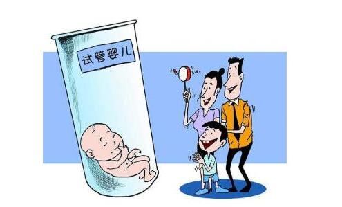胚胎实验室主任